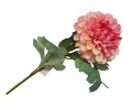[68tg0706] Gałązka kwiatowa dalia kremowo-różowa 55cm