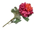 68tg0707] Gałązka kwiatowa dalia magenta 55cm