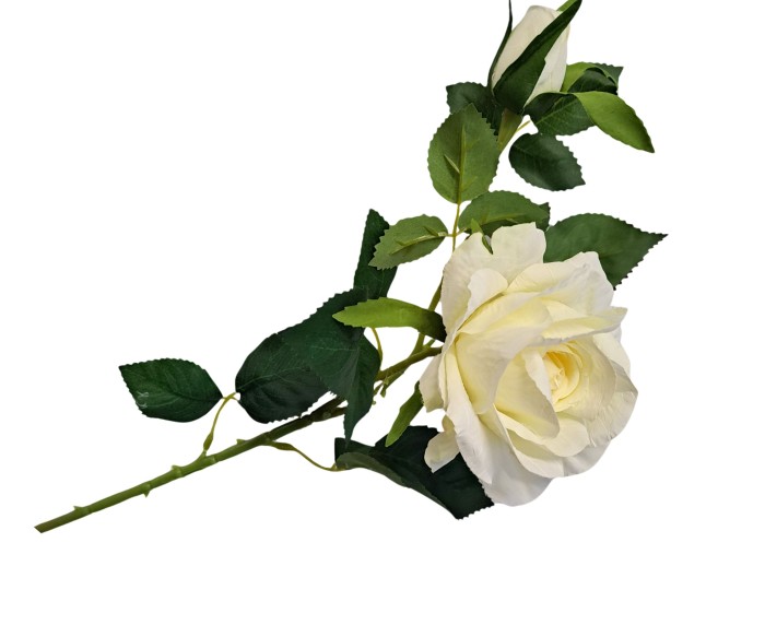[68tg0501] Gałązka kwiatowa róża kremowa 66cm