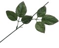 [680521] Łodyga róży 43cm