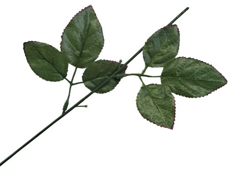 [680521] Łodyga róży 43cm