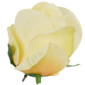 [w04055] Róża główka 9cm kremowo-żółta