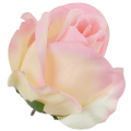 [w04059] Róża główka 9cm kremowo-różowa