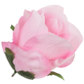 [w04061] Róża główka 9cm różowa