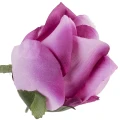 [w04063] Róża główka 9cm biskupia cieniowana
