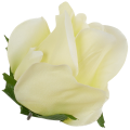 [w0434] Róża główka 9cm kremowa