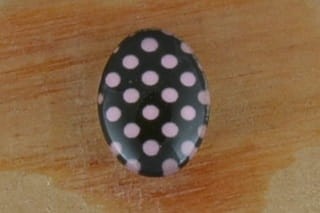{04621} Kaboszon szklany z obrazkiem 18*13mm różowe kropki