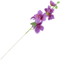 [wb18216] Gałązka kwiatowa ostróżka 42cm fioletowa