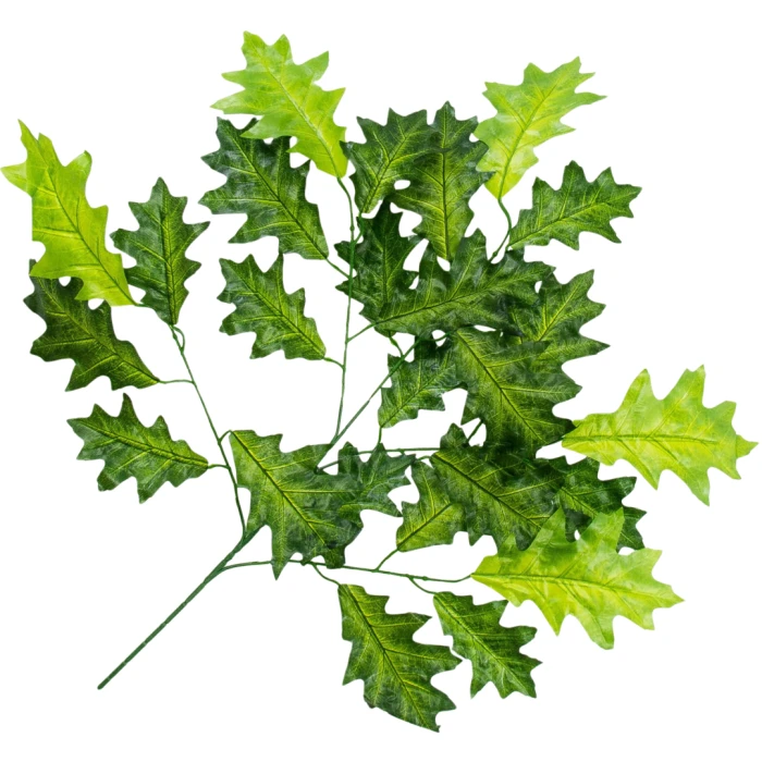 [68s43301] Duża gałązka liście dębu zielone 75cm