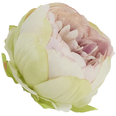 [wb50314a] Główka kwiatowa peonia 8cm różowo-pistacjowa