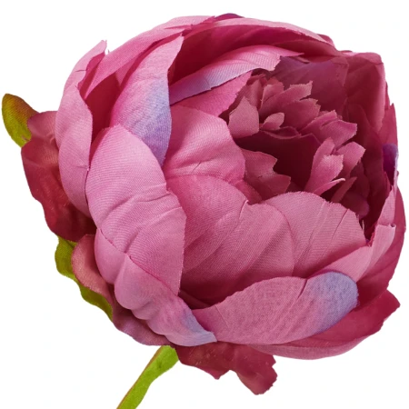 [wb50319] Główka kwiatowa peonia 8cm magenta