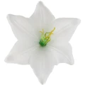 [68b276001] Główka kwiatowa lilia 16cm biała