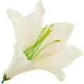 [68b276003] Główka kwiatowa lilia 16cm kremowa