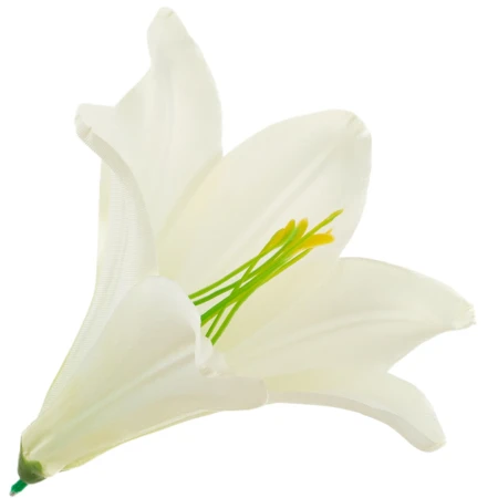 [68b276004] Główka kwiatowa lilia 16cm śmietankowa