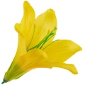 [68b276006] Główka kwiatowa lilia 16cm żółta