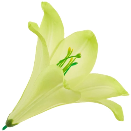 [68b276007] Główka kwiatowa lilia 16cm limonkowa