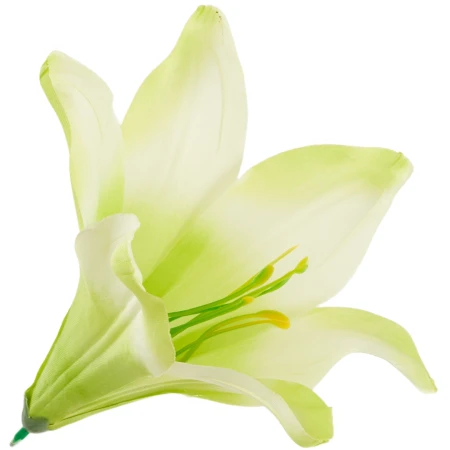 [68b276009] Główka kwiatowa lilia 16cm seledynowa