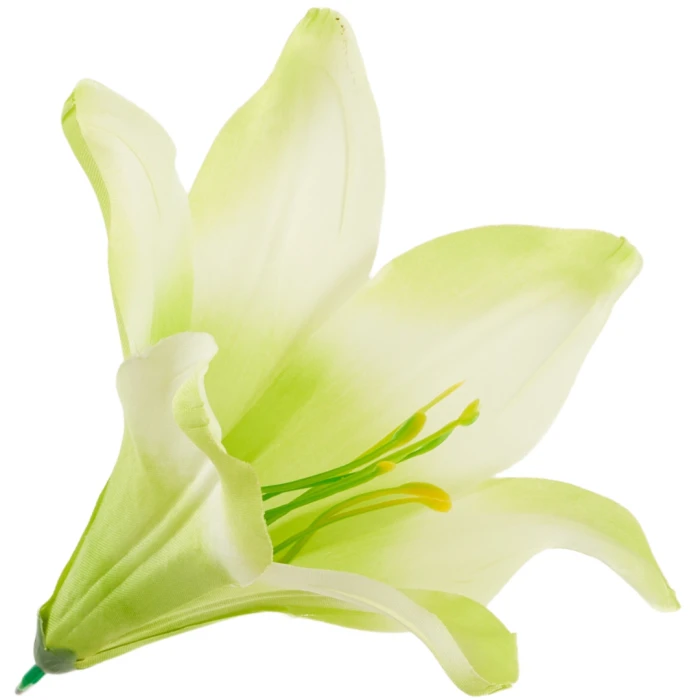 [68b276009] Główka kwiatowa lilia 16cm biało- zielona