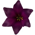 [68b276015] Główka kwiatowa lilia 16cm purpurowa