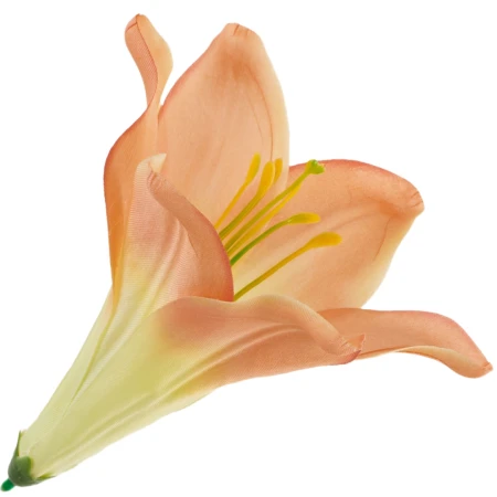 [68b276018] Główka kwiatowa lilia 16cm łososiowa z kremowym środkiem