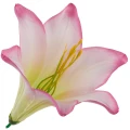 [68b276023] Główka kwiatowa lilia 16cm jasnoróżowa z zielonym środkiem