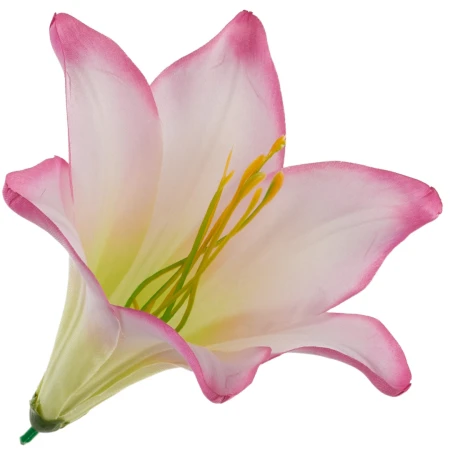 [68b276023] Główka kwiatowa lilia 16cm jasnoróżowa z kremowym środkiem