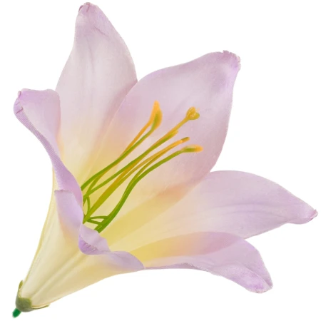 [68b276030] Główka kwiatowa lilia 16cm liliowa z cytrynowym środkiem