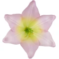 [68b276030] Główka kwiatowa lilia 16cm liliowa z zielonym środkiem
