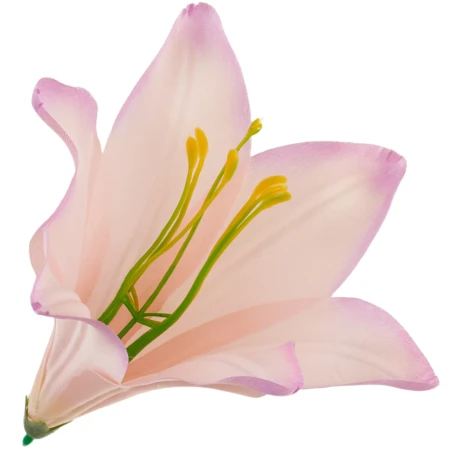 [68b276034] Główka kwiatowa lilia 16cm jasnoróżowa