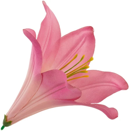 [68b276035] Główka kwiatowa lilia 16cm ciemnoróżowa