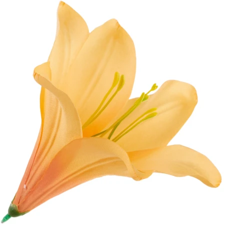 [68b276040] Główka kwiatowa lilia 16cm morelowa