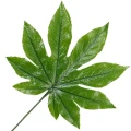 [68se76801] Liść dekoracyjny zielony aralia XXcm