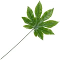 [68se76801] Liść dekoracyjny zielony aralia XXcm