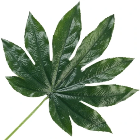 [68se76901] Liść dekoracyjny zielony ciemny aralia 67cm