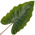 [68se78001] Liść dekoracyjny zielony ciemny anturium XXcm