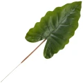 [68se78001] Liść dekoracyjny zielony ciemny anturium XXcm