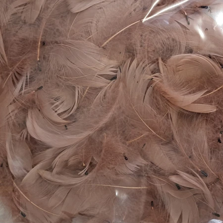 Piórka dekoracyjne naturalne cappuccino 190 sztuk