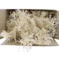 [59024] Korzenie suszone dekoracyjne dry tree 100g