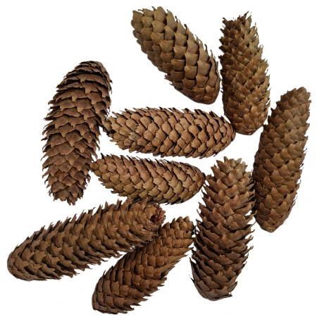[59002] Szyszki naturalne świerku ok. 250g 9-10szt