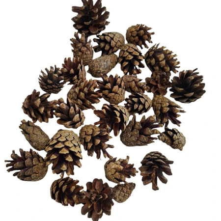 [59004] Szyszki naturalne sosny ok. 250g 