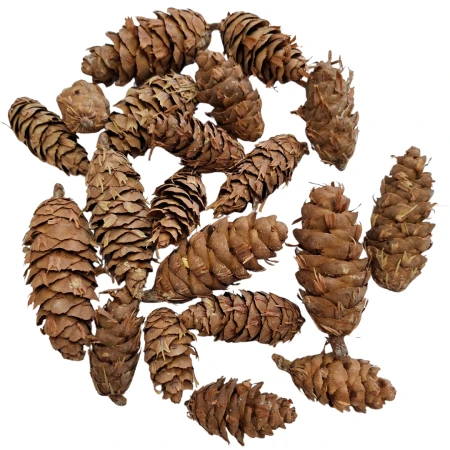 [59008] Szyszki naturalne daglezji ok. 250g 