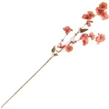 [68a10206] Gałązka kwiatowa jesienna anemon 103cm ceglasty