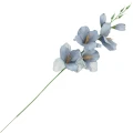 [68a6106] Mieczyk jesienny 53cm błękit gołębi