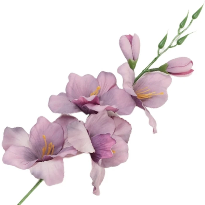 [68a6111] Mieczyk jesienny 53cm wrzosowy cieniowany