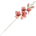 [68a6113] Mieczyk jesienny 53cm pomarańczowo- fioletowy