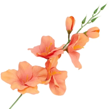 [68a6116] Mieczyk jesienny 53cm koralowo-morelowy