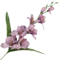 [68a6211] Mieczyk jesienny z liśćmi 64cm wrzosowy cieniowany