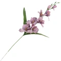 [68a6211] Mieczyk jesienny z liśćmi 64cm wrzosowy cieniowany