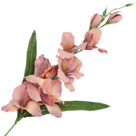 [68a6213] Mieczyk jesienny z liśćmi 64cm jagodowo-morelowy