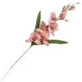 [68a6213] Mieczyk jesienny z liśćmi 64cm brzoskwiniowo- fioletowy